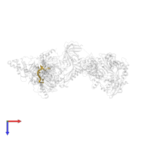 DNA (5'-D(*TP*TP*AP*GP*GP*GP*TP*TP*AP*G)-3') in PDB entry 8sok, assembly 1, top view.