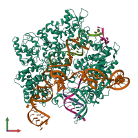 PDB entry 8spq coloured by chain, front view.