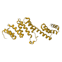 The deposited structure of PDB entry 8sqa contains 1 copy of Pfam domain PF13525 (Outer membrane lipoprotein) in Outer membrane protein assembly factor BamD. Showing 1 copy in chain D.