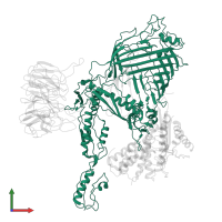 Outer membrane protein assembly factor BamA in PDB entry 8sqa, assembly 1, front view.