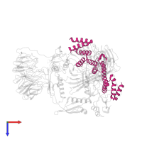 Outer membrane protein assembly factor BamD in PDB entry 8sqa, assembly 1, top view.