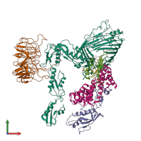 PDB entry 8sqb coloured by chain, front view.