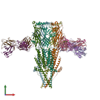 PDB entry 8st0 coloured by chain, front view.