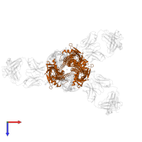 Neuronal acetylcholine receptor subunit beta-2 in PDB entry 8st0, assembly 1, top view.