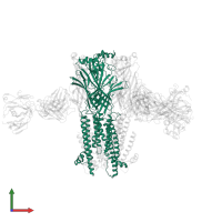 Neuronal acetylcholine receptor subunit alpha-4 in PDB entry 8st4, assembly 1, front view.