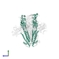 Neuronal acetylcholine receptor subunit alpha-4 in PDB entry 8st4, assembly 1, side view.