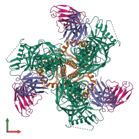 Hetero dodecameric assembly 1 of PDB entry 8sxj coloured by chemically distinct molecules, front view.