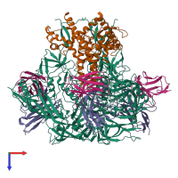 Hetero dodecameric assembly 1 of PDB entry 8sxj coloured by chemically distinct molecules, top view.