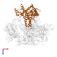 HIV-1 gp41 in PDB entry 8sxj, assembly 1, top view.