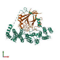 PDB entry 8sym coloured by chain, front view.