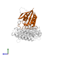 Vacuolar protein sorting-associated protein 29 in PDB entry 8sym, assembly 1, side view.
