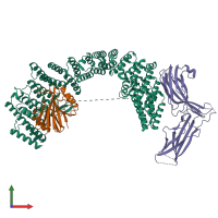 Hetero trimeric assembly 1 of PDB entry 8syn coloured by chemically distinct molecules, front view.