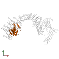 Vacuolar protein sorting-associated protein 29 in PDB entry 8syn, assembly 1, front view.