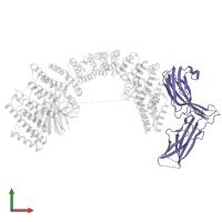 Vacuolar protein sorting-associated protein 26C in PDB entry 8syn, assembly 1, front view.