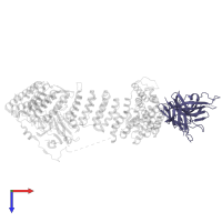 Vacuolar protein sorting-associated protein 26C in PDB entry 8syn, assembly 1, top view.