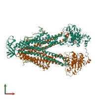 PDB entry 8szc coloured by chain, front view.