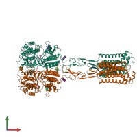 PDB entry 8szf coloured by chain, front view.