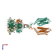 PDB entry 8szf coloured by chain, top view.