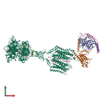 Hetero pentameric assembly 1 of PDB entry 8szh coloured by chemically distinct molecules, front view.