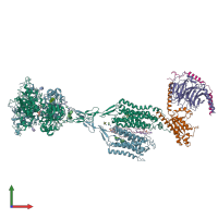 PDB entry 8szh coloured by chain, front view.