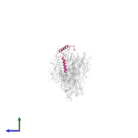 Guanine nucleotide-binding protein G(I)/G(S)/G(O) subunit gamma-2 in PDB entry 8szh, assembly 1, side view.