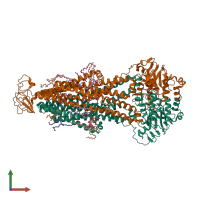 PDB entry 8t1p coloured by chain, front view.