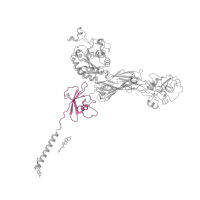 The deposited structure of PDB entry 8t2v contains 1 copy of Pfam domain PF07965 (Integrin beta tail domain) in Integrin beta-3. Showing 1 copy in chain B.