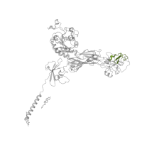 The deposited structure of PDB entry 8t2v contains 1 copy of Pfam domain PF18372 (Integrin beta epidermal growth factor like domain 1) in Integrin beta-3. Showing 1 copy in chain B.