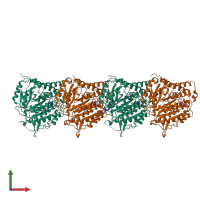 Hetero pentameric assembly 1 of PDB entry 8t42 coloured by chemically distinct molecules, front view.