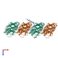 Hetero pentameric assembly 1 of PDB entry 8t42 coloured by chemically distinct molecules, top view.