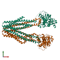 PDB entry 8t4e coloured by chain, front view.