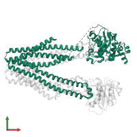 Antigen peptide transporter 1 in PDB entry 8t4e, assembly 1, front view.