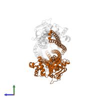 Antigen peptide transporter 2 in PDB entry 8t4e, assembly 1, side view.