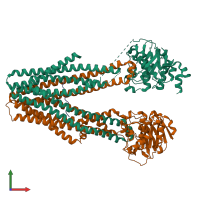 PDB entry 8t4g coloured by chain, front view.