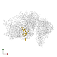 Small ribosomal subunit protein uS4 in PDB entry 8t4s, assembly 1, front view.