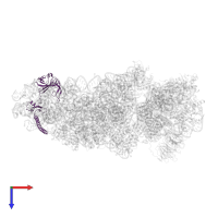 Small ribosomal subunit protein eS6 in PDB entry 8t4s, assembly 1, top view.