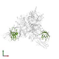 8.11G Light Chain in PDB entry 8t5c, assembly 1, front view.