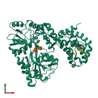 PDB entry 8t6f coloured by chain, front view.