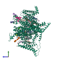 PDB entry 8t6l coloured by chain, side view.