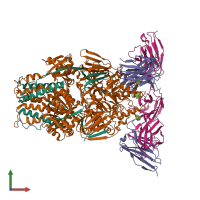 Hetero dodecameric assembly 1 of PDB entry 8t7a coloured by chemically distinct molecules, front view.