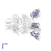 2.4K Fab Heavy Chain in PDB entry 8t7a, assembly 1, top view.