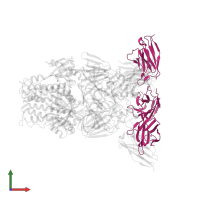 2.4K Fab Light Chain in PDB entry 8t7a, assembly 1, front view.