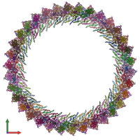 PDB entry 8t8o coloured by chain, front view.