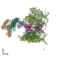 Hetero 26-meric assembly 1 of PDB entry 8tep coloured by chemically distinct molecules, front view.