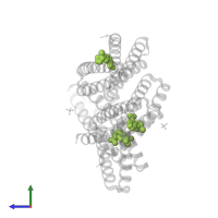 (2R)-2-(7-carbamoyl-1H-benzimidazol-2-yl)-2-methylpyrrolidinium in PDB entry 8tnd, assembly 1, side view.