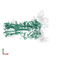 Hemagglutinin HA2 chain in PDB entry 8tp6, assembly 1, front view.