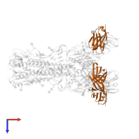 Heavy chain of 4-1-1E02 Fab in PDB entry 8tp6, assembly 1, top view.