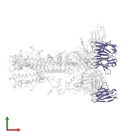 Light chain of 4-1-1E02 Fab in PDB entry 8tp6, assembly 1, front view.