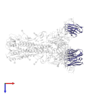 Light chain of 4-1-1E02 Fab in PDB entry 8tp6, assembly 1, top view.