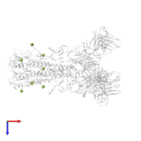 2-acetamido-2-deoxy-beta-D-glucopyranose in PDB entry 8tp6, assembly 1, top view.